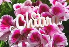 Portachiavi 3D con nome